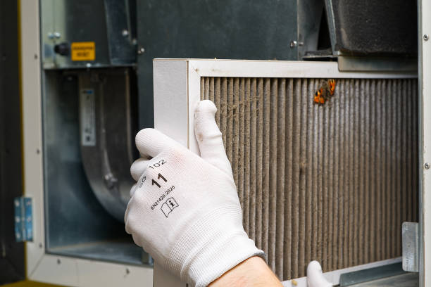 Best Air Quality Test  in Portland, TX